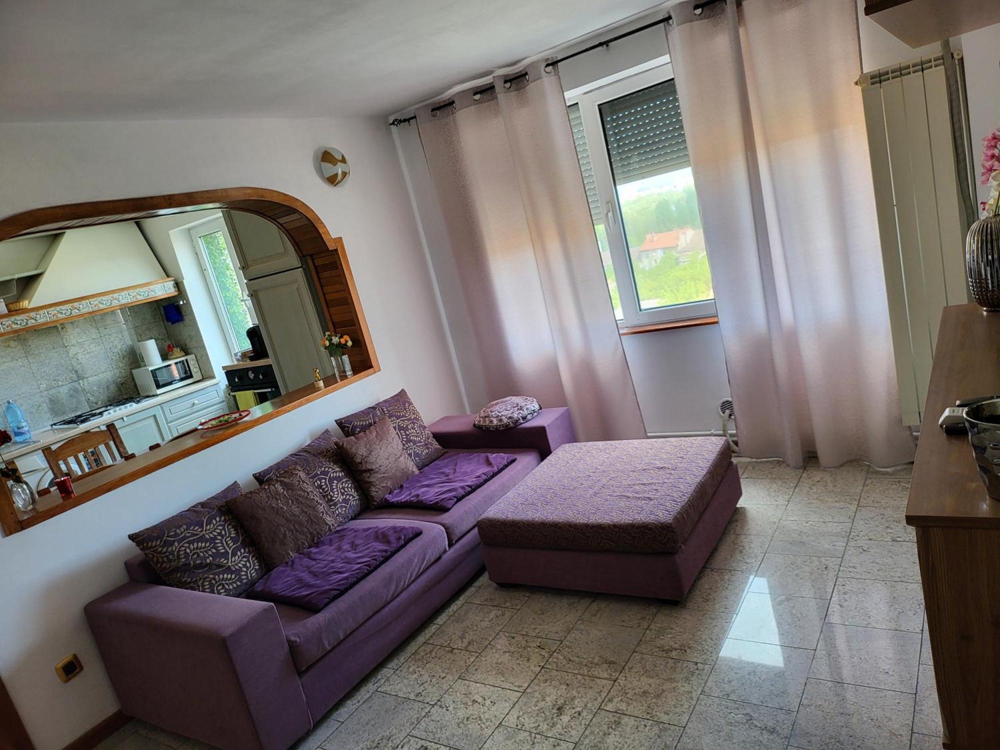 Apart. 2 camere ,central Arad Exterior foto