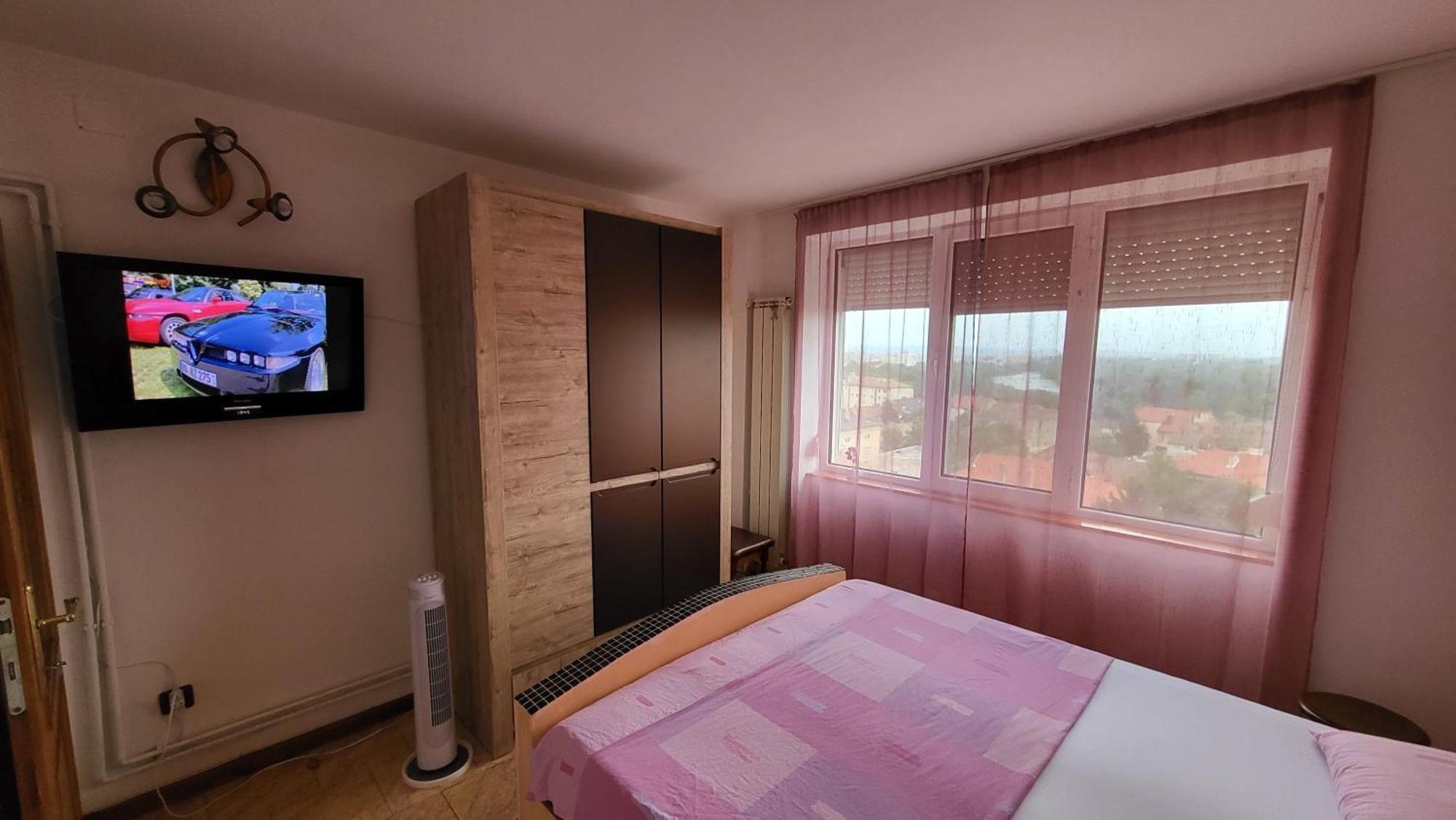 Apart. 2 camere ,central Arad Exterior foto